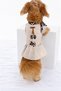 Cat - Dog Winter Shawl Collar Knitwear Dress - Sweater - Sweatshirt - Outfit - 5