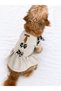 Cat - Dog Winter Shawl Collar Knitwear Dress - Sweater - Sweatshirt - Outfit - 3