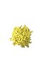 Macaron Yellow Mini Balloons 100 Pieces 6 Inch Pastel Birthday Party and Balloon Chain Decoration - 3