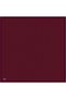 2026-2027 Fall Winter Season Twill Silk Scarf Msr25T 52 - 3