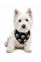 Adjustable Printed H-Type Chest Harness Set with Scarf - 4