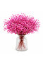 Pembe cipso çiçek - 2