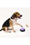 Ofins Voice Recording Button, Dog Buttons for Communication and Pet Training, 30 Seconds Record and Playback, Hed - 3