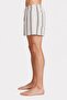 Men Stripe Board Shorts, Multicolor - 3