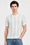 Men Crew Neck Short Sleeve Stripe T-Shirt, Multicolor