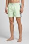 Men Stripe Board Shorts, Green