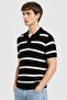 Men Regular Fit Stripe Short Sleeve Polo Shirt, Multicolor - 2