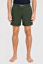 Men Micro Check Print Board Shorts, Green