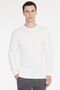 Men's Ecru 100% Cotton Standard Fit Crew Neck Jacquard Knit Sweater