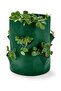 Strawberry Planting Bag, Green - 2
