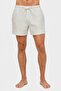 Men Stripe Basic Shorts, Multicolor