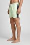 Men Stripe Board Shorts, Green - 3