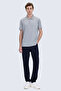 Gray Regular Fit Polo Collar 100% Mercerized Cotton T-Shirt - 7