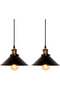 2PC Retro Black Iron Pendant Light, Adjustable Cable Hanging Lamp E27, Industrial Ceiling Light Fixture for Kitchen Restaurant Bar Balcony Living Room, Diameter 30Cm, Bulb Included