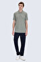 Vetiver Green Regular Fit Polo Collar 100% Cotton T-Shirt - 2