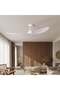 Kabir Majlis Bldc Ceiling Fan W Remote - 15, White, 52 inches, ABS, Coolers And Fans