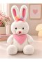 40cm Minnoş Rabbit & Sleeping Companion Gift Plush Rabbit