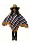 Mexican Poncho Costume