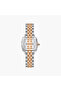 Women's Analog Square 25 MM Metal Clasp Watch | SQ-CS014CTSS4 - 3