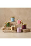 Bin Classic Rose Elixir Scented Jar Candle - 170 gms - 6