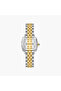 Women's Analog Square 25 MM Metal Clasp Watch | SQ-CS014TZIS3 - 3