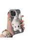 iPhone 16 Pro Compatible Hard Acrylic Back Silicone Edge Lens Protection Case
