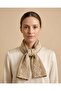 Women Beige Embroidered Scarf