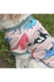 Dino Pijama - 2