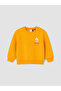 Esvab • Modern & Distinctive Licensed Printed Baby Boy Tracksuit Set - 3