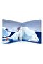 Plucky Penguins Flip Flap Fun Book - 5