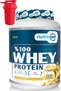 Whey Protein 976 Gr 32 Servings Lemon Cheesecake Flavored 24 Grams of Protein 100% Protein Powder Shaker Gifted with a Shaker