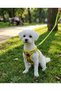 Air -Mesh Small and Medium Breed Cat Dog Chest Harness Soft, Breathable, Extra Durable - 4