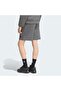 Z.N.E. Men's Gray Shorts (Kx7696) - 2