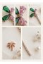 Butterfly Model Zircon Stone Detailed 316L Steel Earrings - 3