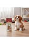 Bone Chew Treat Rawhide-Free Dental Chew Chicken Flavor For Dogs 4.5 Inch 90g 2 Pieces - 3