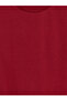 Vizyon New Season Burgundy Crew Neck Basic Short Sleeve Boys' T-Shirt - 3