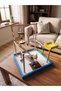 Wooden Bird Playground Stand - Bird Playground with Ladder and Swing and Intellectual Games 40X40X45 cm