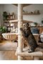 40cm Cat Scratching Post Replacement Roller with M8 Screw 1Piece - 2