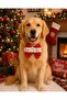 Red Christmas Themed Dog Bow Tie Cat Bow Tie (1-50kg)