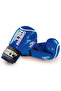 Panther Carbon Leather Boxing and Kickboxing Gloves