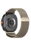 Smartwatch Belt