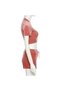 Women's Pink Two-Piece Shorts Set - 4