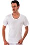 6 Pieces White Half Sleeve Undershirt White