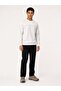 Regular Fit Men's Sweatshirt - 2
