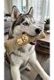 Cat Dog Rustling Sound Toy Velvet Pet Play Toy - 4