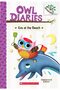 Owl Diaries #14: Eva At The Beach (A Branches Book)