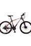 2624 Aluminum Bicycle - 3