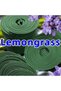 Natural Incense Coils – Variety Pack (Lemongrass, 41 Pcs) - 2