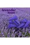 Incense Cones | Lavender 200 Pieces | | Sandlewood, Rose, Lavendar, Oud, Bakhoor, Jasmine, Orange, Lemon Grass, Cherry Blossom, Sage, Agarwood, Dragon Blood, Osmanthus. (200 Cones) - 5