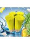 Premium Fruit Scented Incense Sticks – 22cm Bamboo Aromatherapy Agarbatti for Home Fragrance, Meditation, & Yoga – (Mango, Strawberry, Pineapple, Coconut & More) (Pineapple-132 Sticks) - 3